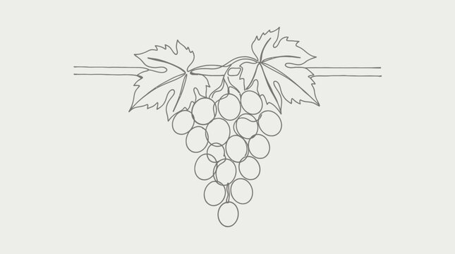 Continuous line drawing of a bunch of grapes with leaves on a vine