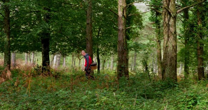 Foraging for Forest Bounty: A lone individual ventures deep into a sun-dappled forest, gathering provisions from the abundant woodland floor.