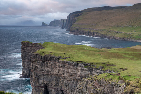 View of the dramatic sea cliffs with lush green grass, rocky formations, and the Atlantic Ocean under a cloudy sky in the Faroe Islands.