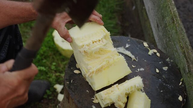 Hands chop pale yellow cheese on worn wooden board. Cuts spread in neat rows, flecks scatter around. Rustic scene shows skilled, focused manual work outdoors. Use for food prep, traditional cooking