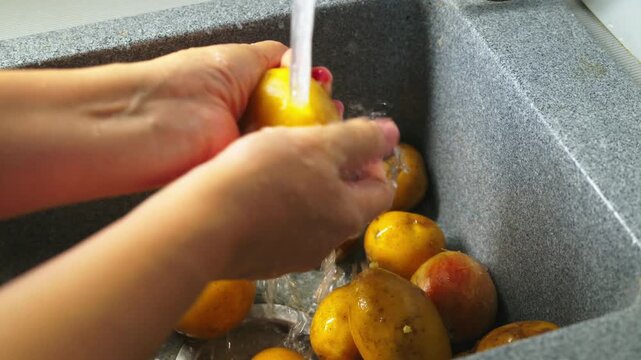 Hands wash yellow fruits under running water in sink. Fruit surfaces glisten with clean water droplets. Fresh produce gleams as hands gently rub each piece. Ideal for kitchen, health