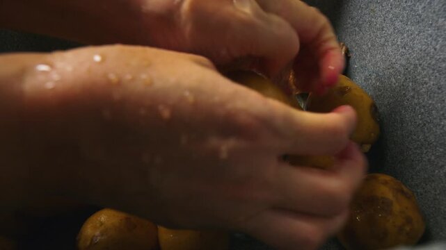 Water streams over small potatoes in a sink. Hands gently scrub each potato, removing dirt. Basic food preparation steps. This footage fits kitchen or cooking themes