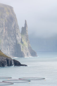 View of a dramatic sea stack rising from the ocean near steep cliffs with circular fish farming pens floating in the water in the Faroe Islands.