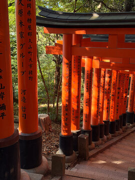 View of Fushimi Inari Taisha with its iconic rows of vibrant orange torii gates lining the stone path in a serene forest setting in Kyoto, Kyoto, Japan.