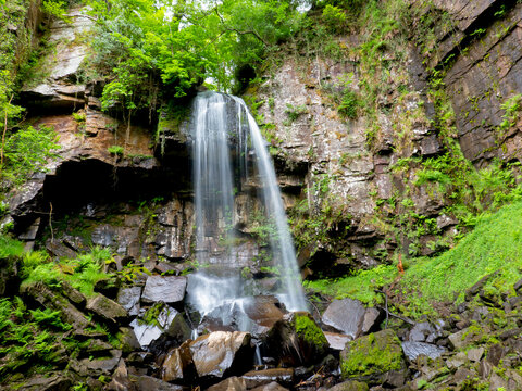 View of Melincourt Falls cascading over rocky cliffs surrounded by lush green ferns and mossy boulders in a woodland setting, Neath, Wales, United Kingdom.