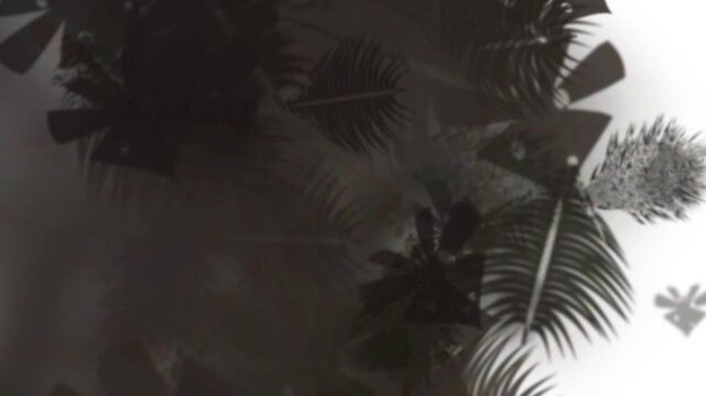 Boho aesthetic leaf shadows (monstera, fern, and pampas grass) sweeping across the screen in the wind, creating an organic silhouette overlay.