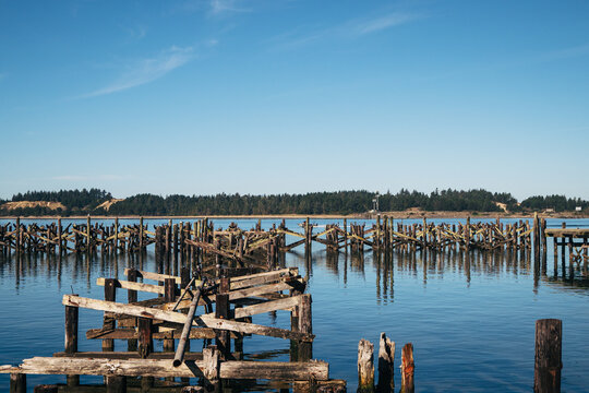 View of deteriorating wooden pilings from historic commercial docks and cannery piers dating from the late 19th to mid-20th century along the Empire waterfront in Coos Bay, Oregon.