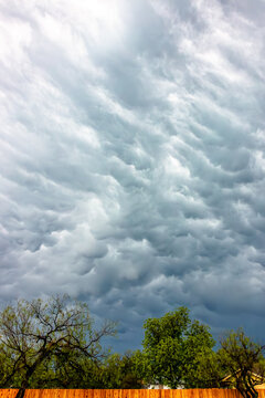 View of mammatus clouds forming a dramatic stormy sky above green trees and a wooden fence in Oklahoma City, Oklahoma, United States.