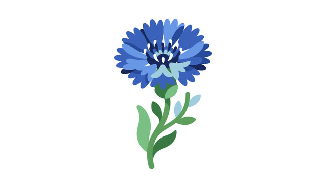 Blue cornflower blossom with green stem and leaves.