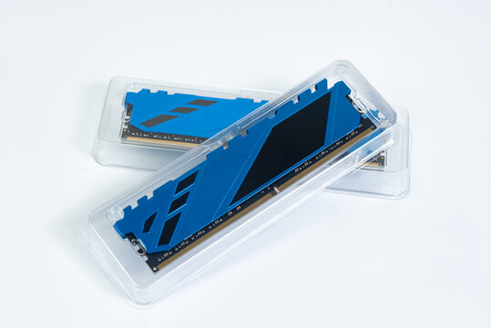 Two blue computer RAM modules