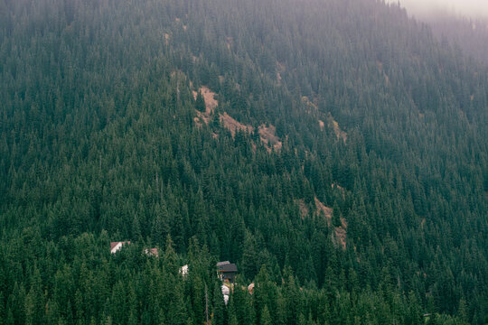 View of the dense coniferous forest surrounding Kolsai Lake with small wooden cabins nestled among pine trees on the steep mountain slope in Kegen District, Almaty Region, Kazakhstan.