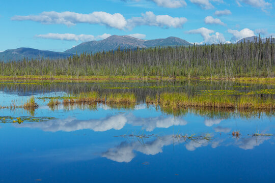 Lake in tundra