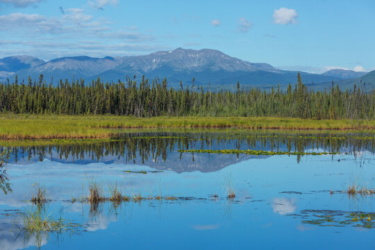 Lake in tundra