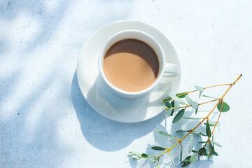 Cafe au lait with eucalyptus branches and beautiful sunlight on white background © 清美 小池