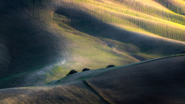 View of rolling hills with soft light and shadows across the agricultural landscape in Basilicata, Italy.