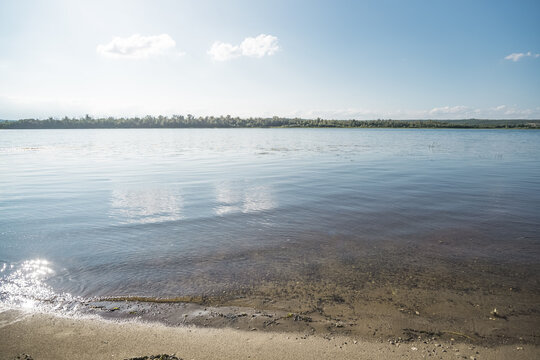 A wide steppe river in Kazakhstan, with aquatic plants drifting in the water under bright sunlight; a habitat rich in flora and fauna. A landscape suitable for use as a background