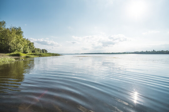 A wide steppe river in Kazakhstan, with aquatic plants drifting in the water under bright sunlight; a habitat rich in flora and fauna. A landscape suitable for use as a background