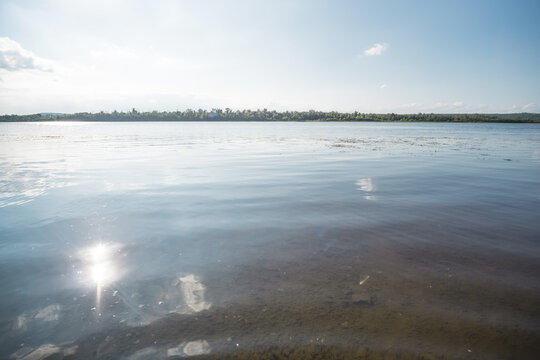 A wide steppe river in Kazakhstan, with aquatic plants drifting in the water under bright sunlight; a habitat rich in flora and fauna. A landscape suitable for use as a background