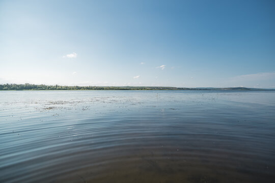 A wide steppe river in Kazakhstan, with aquatic plants drifting in the water under bright sunlight; a habitat rich in flora and fauna. A landscape suitable for use as a background