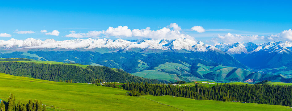 Aerial view of green meadows and spruce forests against a snow-capped mountain range under a cloudy sky in Kalajun Grassland, Ili, Xinjiang, China.