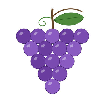 Grappe de raisin sur fond blanc 