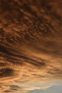 Dramatic golden sunset sky with textured mammatus clouds, vertical background