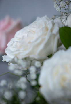 White rose in a bouquet