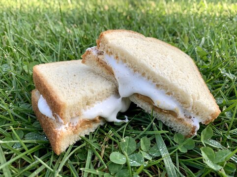 Fluffernutter life style photo