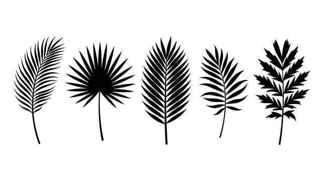 Palm leaves silhouette vector set isolated on white background for design tropical foliage elements