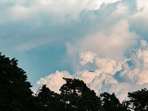 Passenger airplane silhouette climbing through towering cumulus clouds above dark tree canopy at dusk, dramatic moody blue and peach evening sky