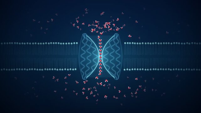 Aquaporin Water Channel Protein Moving Molecules Through Cell Membrane Seamless Loop