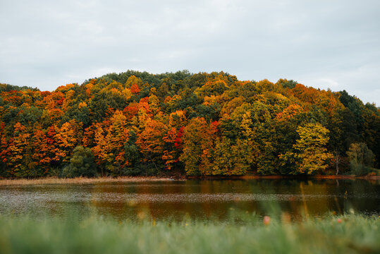 A collection of trees displaying vibrant autumn colors borders a calm lake. The scene includes a variety of hues, such as red, orange, and yellow, beneath a cloudy sky