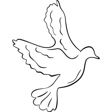 Flying dove bird line art vector illustration, peace and love wedding bird symbol doodle