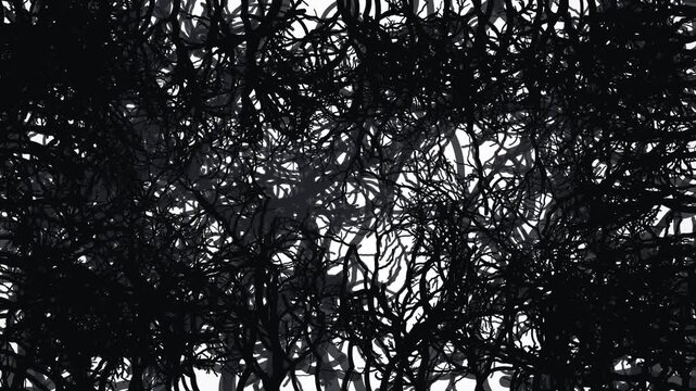 Abstract black branches weaving animation background