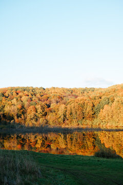 Trees in autumn colors cover a low hill and reflect in still water beside a grassy bank. A clear sky and shadows across the foreground suggest daylight