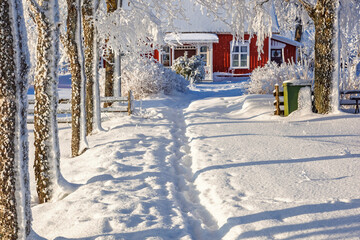 Red wooden cottage with deep snow and heavily frost covered deciduous trees on a sunny winter day © Lars Johansson