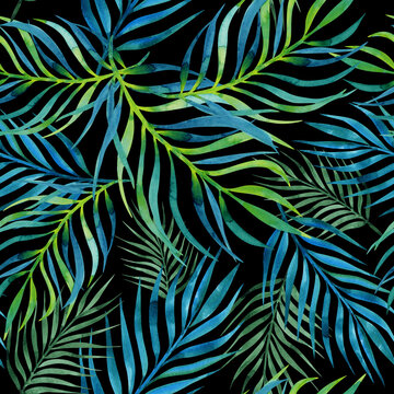 Tropical seamless pattern with palm leaves. Jungle foliage print. Watercolor palm branches on a black background. Natural hand drawn illustration