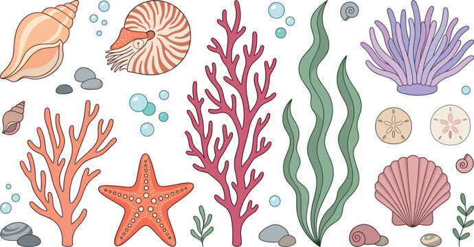 Under the Sea Ocean Life Vector Icon Set with Corals, Starfish, Seashells, Seaweed, and Nautiluses for Nautical Graphic Templates and Marine Life Designs