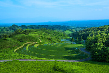 熊本県　産山村　名水百選の山吹水源の清らかな水で育つ扇棚田 © tetsuya