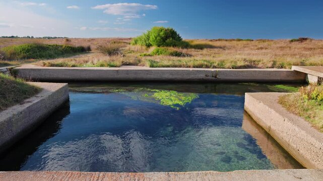 Bacino d'acqua con vegetazione e cielo - Frigole - Salento