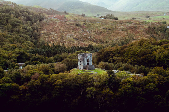 Ancient castle ruin nestled in a lush green forest