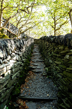 An ancient stone path leads up through a sunny forest