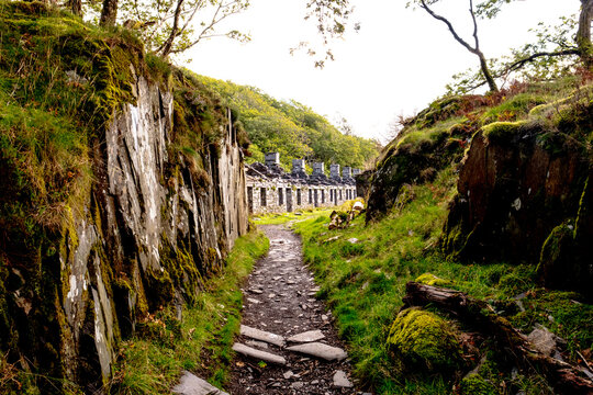 Narrow mossy path leads to old stone cottages in Wales