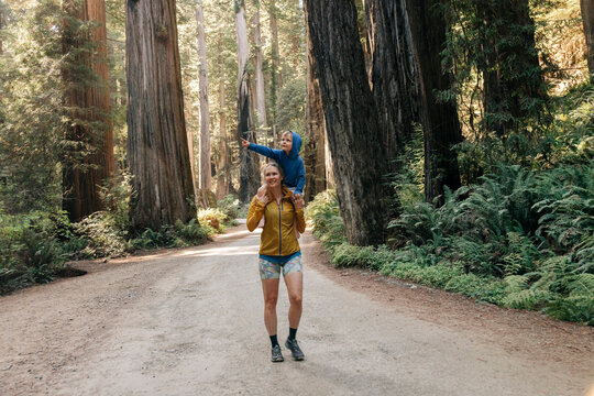 Mother gives son shoulder ride on redwood forest trail