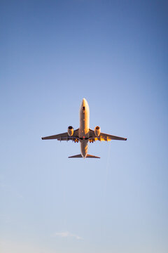 Passenger airplane flying overhead in clear blue sky