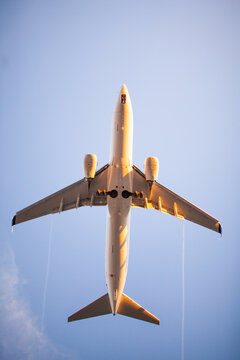 Airplane flying overhead on final approach during golden hour