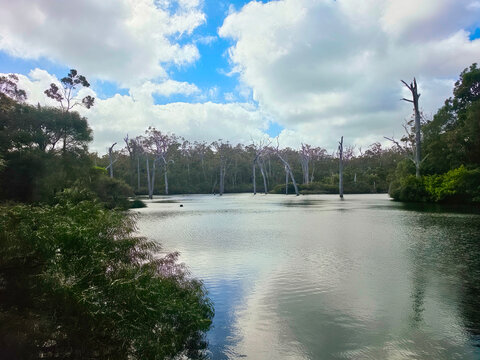 Margaret River scenery in Western Australia