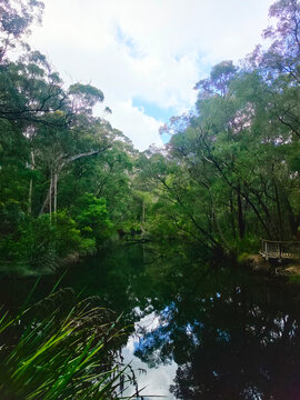Margaret River scenery in Western Australia