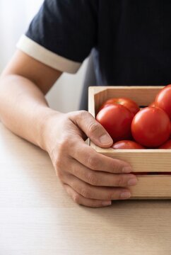 Hands holding a crate of freshly harvested tomatoes