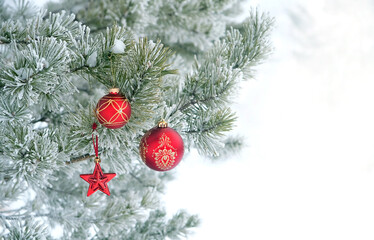 Plakat Beautiful Christmas holiday background. decorative red star and christmas balls on snowy pine tree outdoor. winter nature background. symbol of festive winter season. copy space